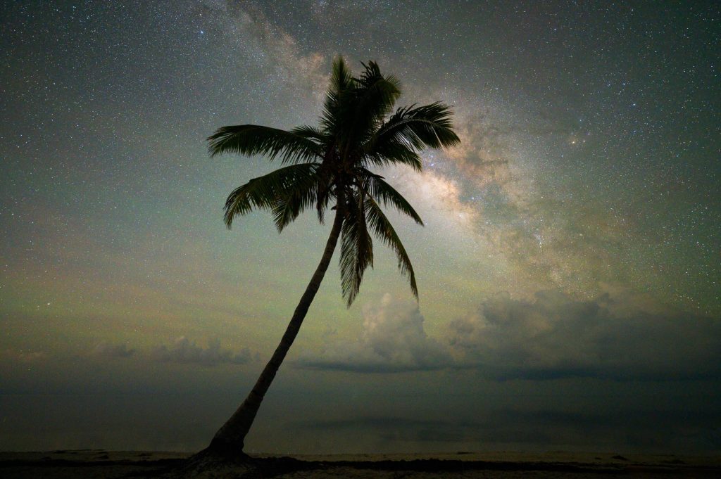 14_14_dgdn_a023_Impression_Image_Jack-Fusco_12