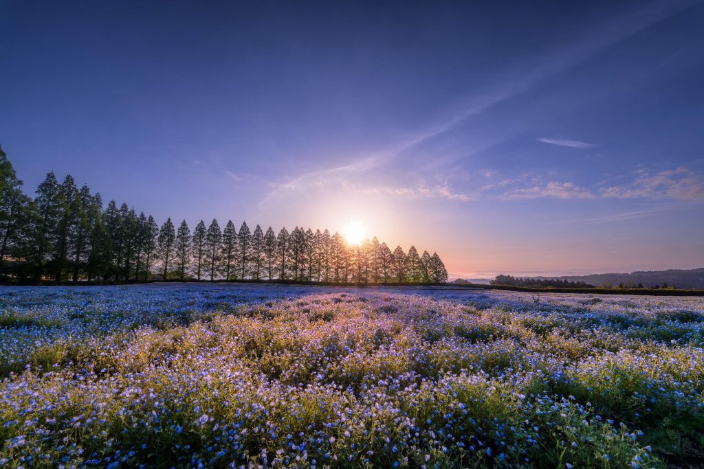 14_14_dgdn_a023_Impression_Image_KAGAYA_11