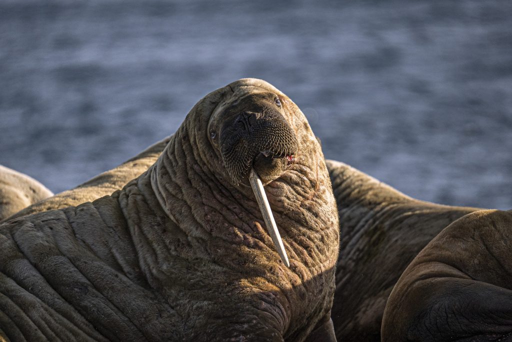 150_600_5_63_dgdnos_s021_Impression_Michael-Ginzburg_12