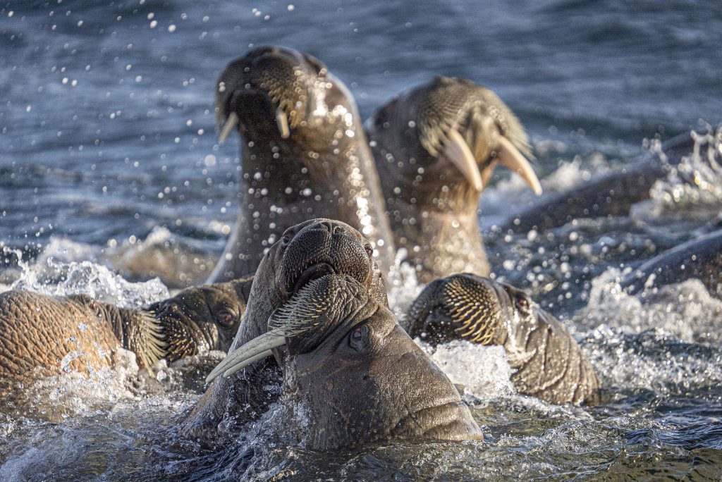 150_600_5_63_dgdnos_s021_Impression_Michael-Ginzburg_20