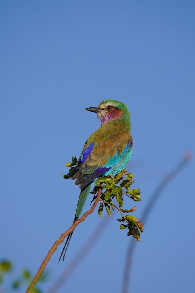 150_600_5_63_dgdnos_s021_Impression_Trevor-McCall-Peat_21-scaled