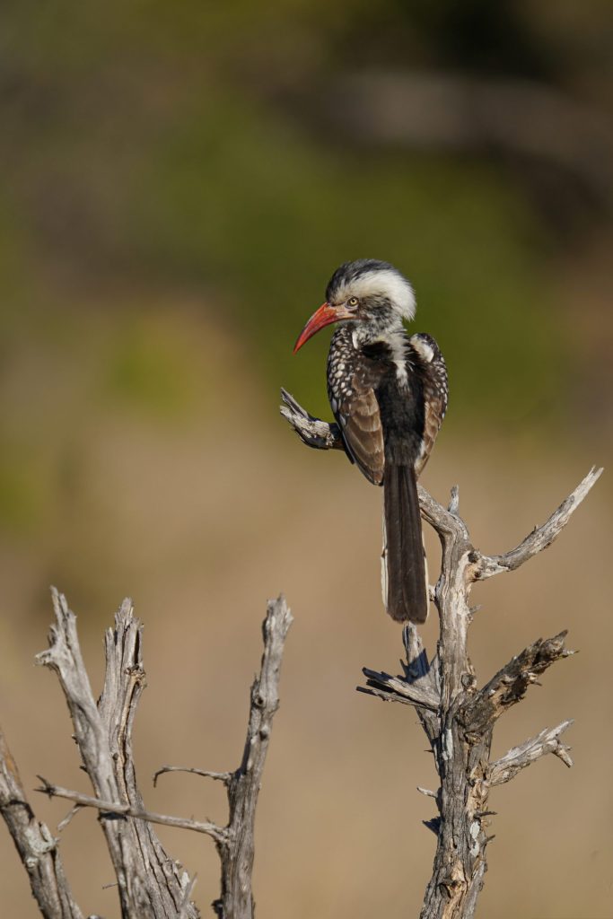 150_600_5_63_dgdnos_s021_Impression_Trevor-McCall-Peat_26-scaled