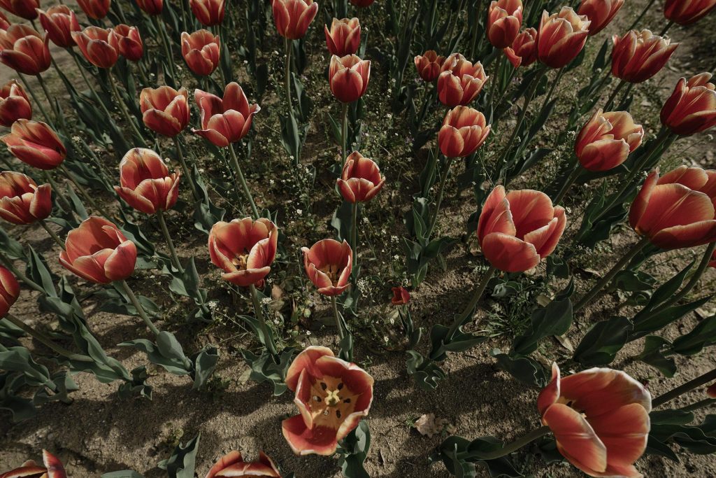 16_28_28_dg_dn_c022_Impression_Photo_Frederic-Mery_042