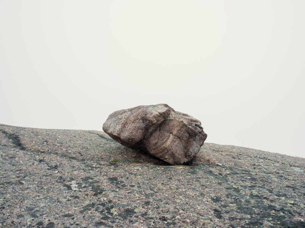 24_14_dg_dn_a022_Impression_Benedict-Brain_14