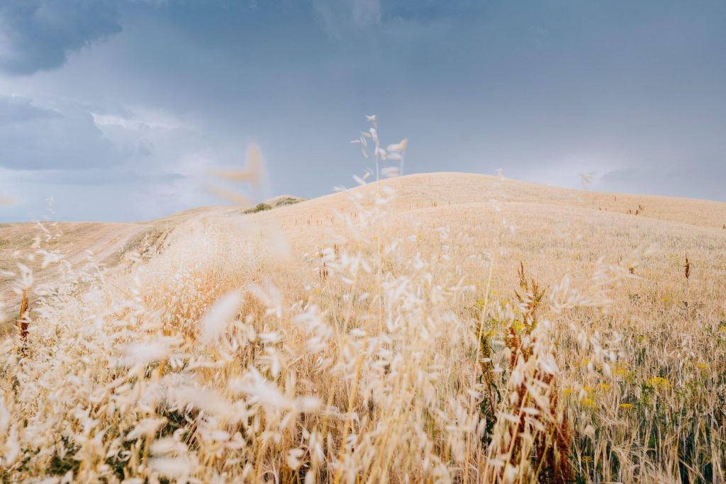 24_14_dg_dn_a022_Impression_Francesco-Riccardo-Iacomino_01