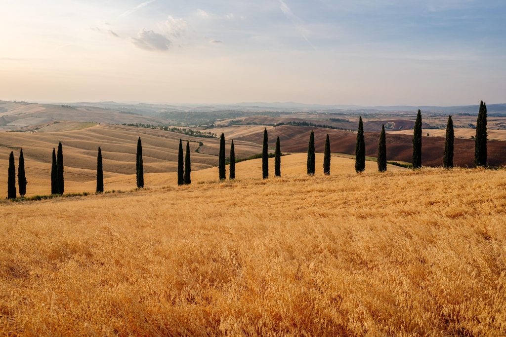 24_14_dg_dn_a022_Impression_Francesco-Riccardo-Iacomino_02