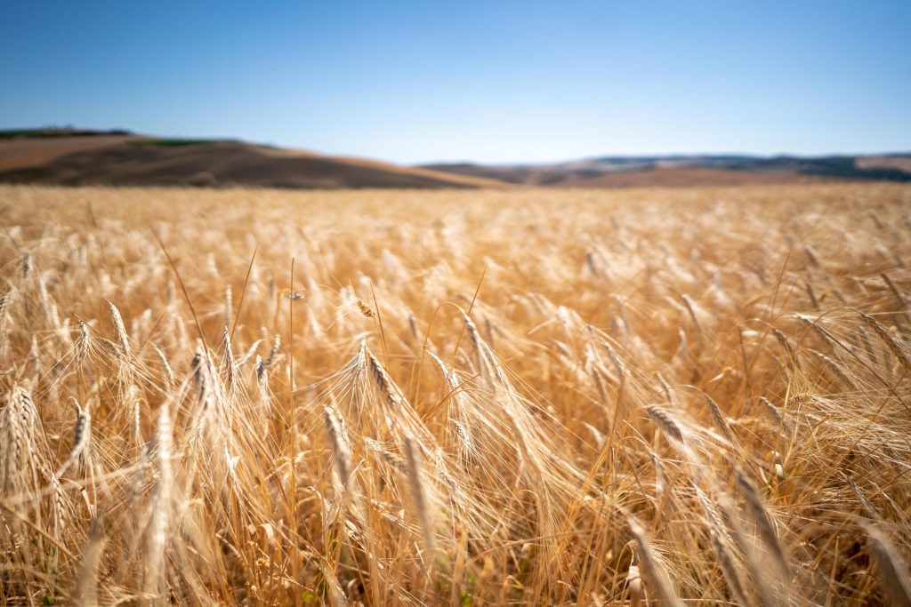 24_14_dg_dn_a022_Impression_Francesco-Riccardo-Iacomino_14