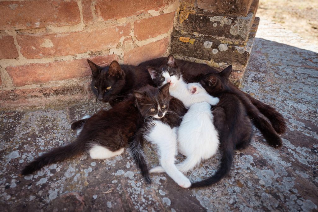 24_14_dg_dn_a022_Impression_Francesco-Riccardo-Iacomino_15