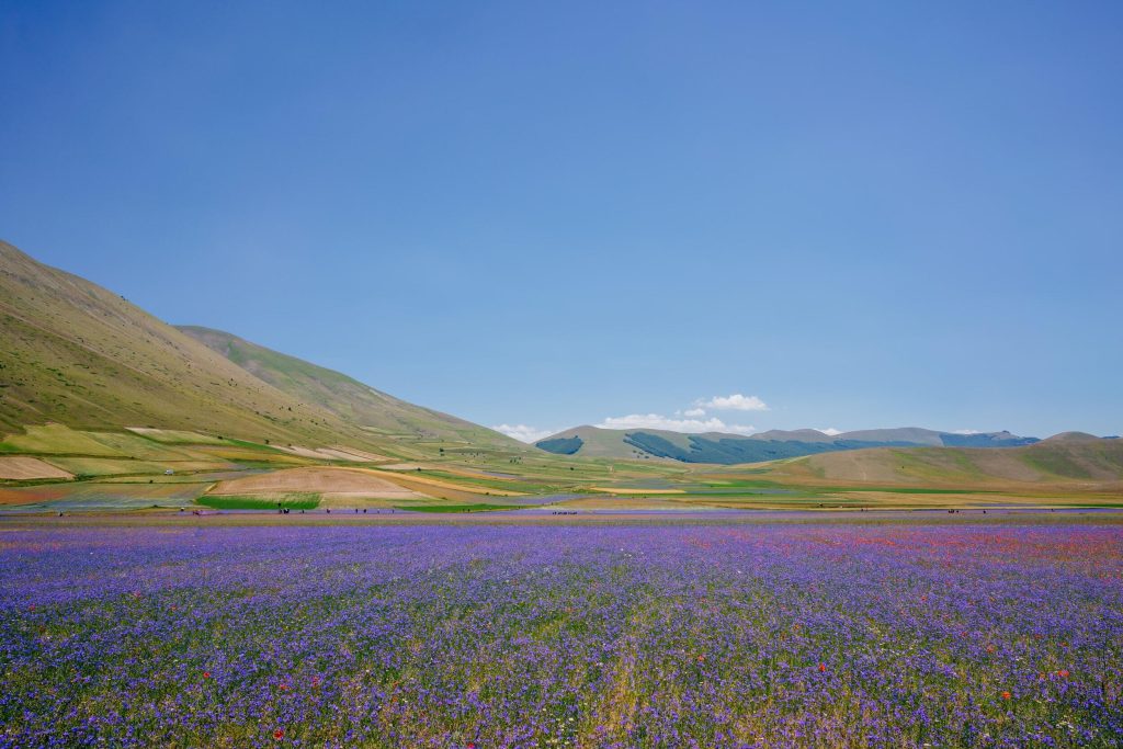 24_14_dg_dn_a022_Impression_Francesco-Riccardo-Iacomino_22