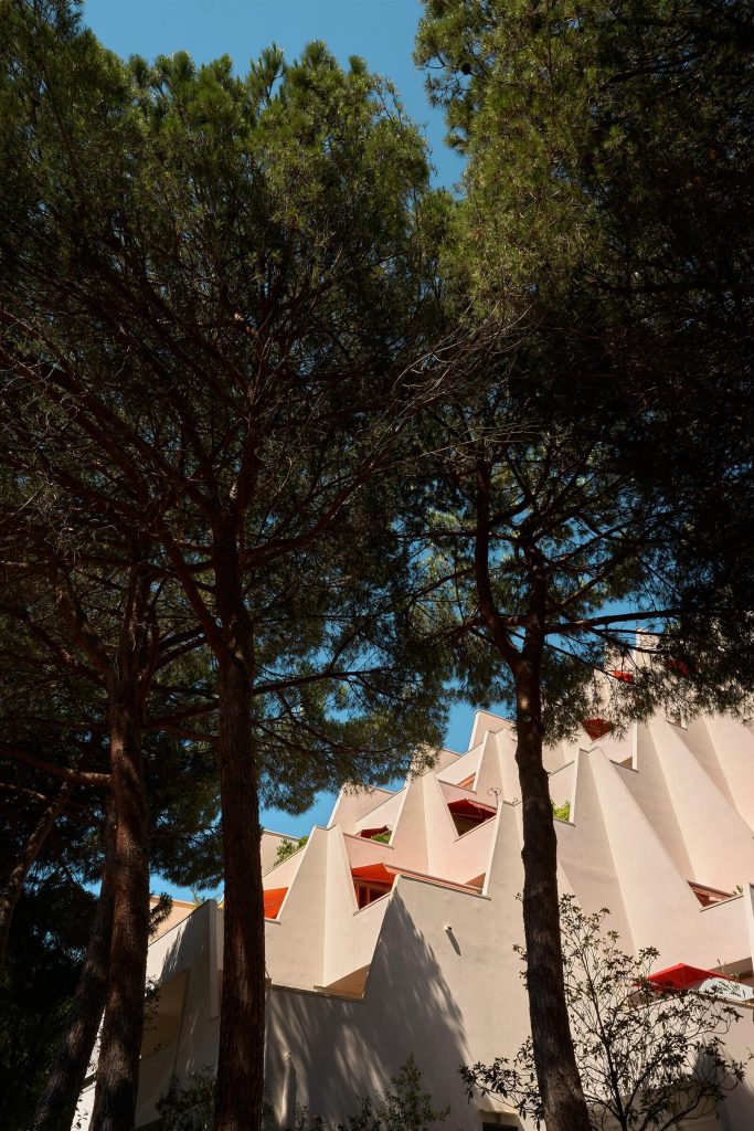 24_2_dg_dn_c021_Impression_BTS-photo_Pauline-Chardin_gall_02