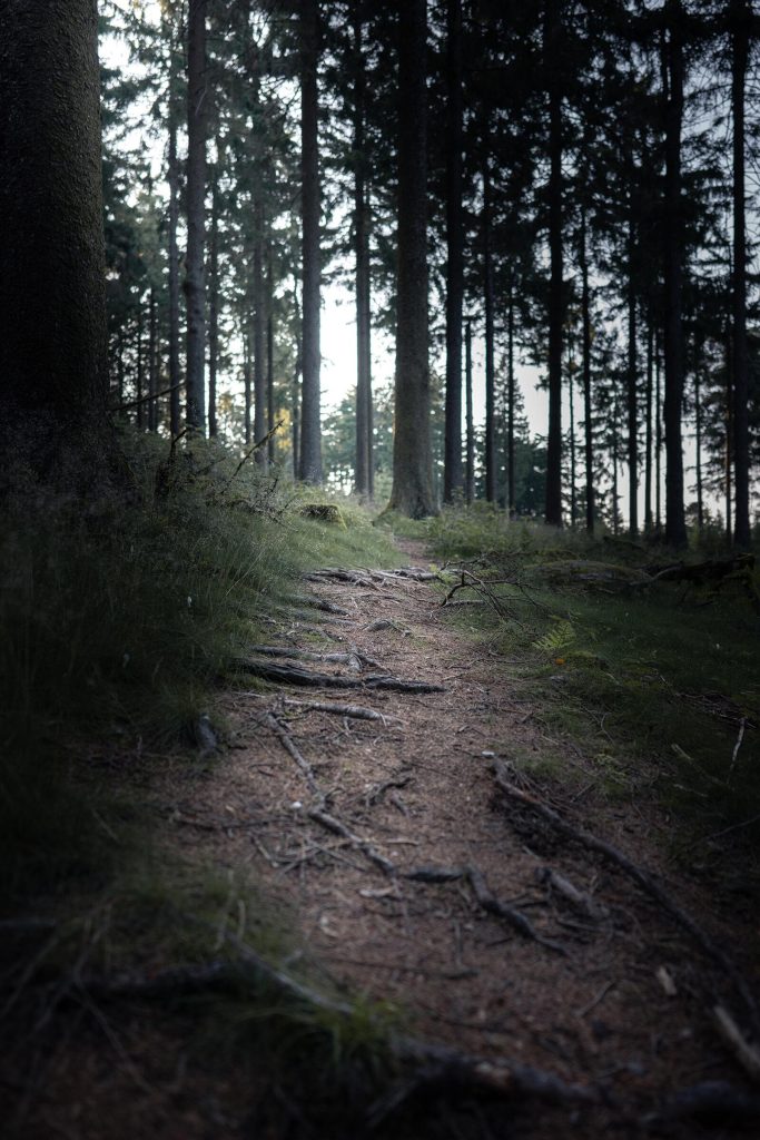 24_2_dg_dn_c021_Impression_BTS-photo_gall_03