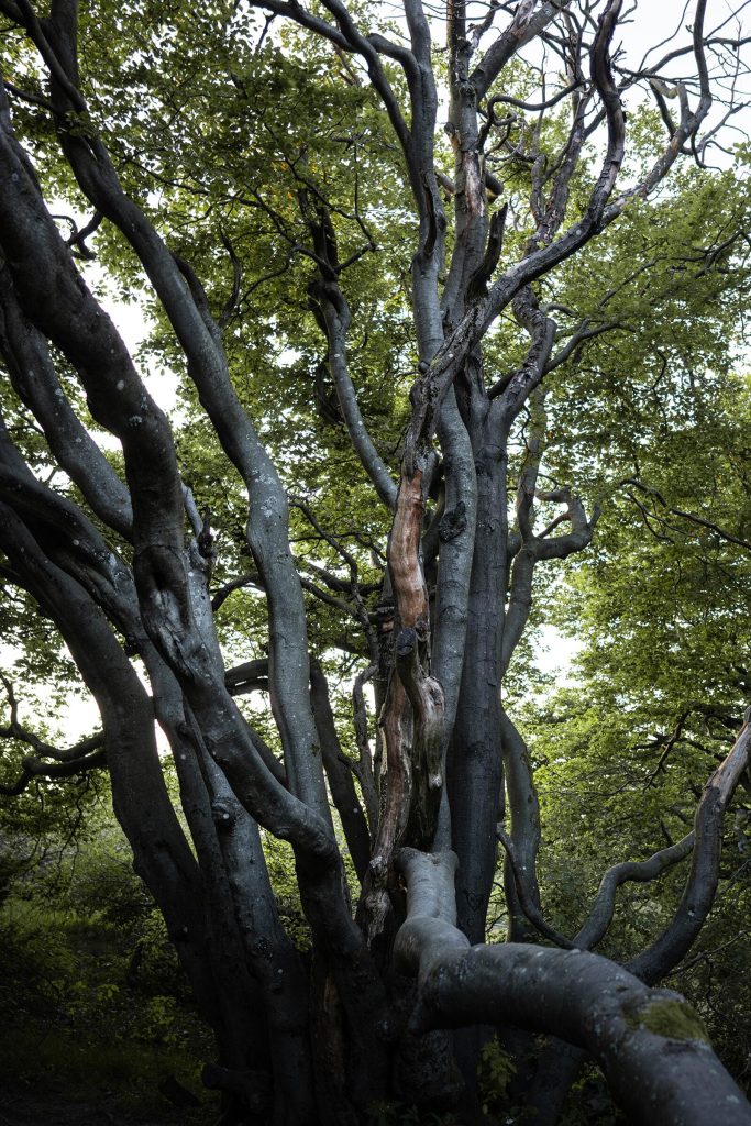 24_2_dg_dn_c021_Impression_BTS-photo_gall_04