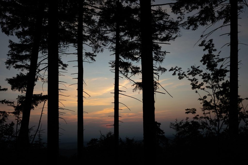 24_2_dg_dn_c021_Impression_BTS-photo_gall_05