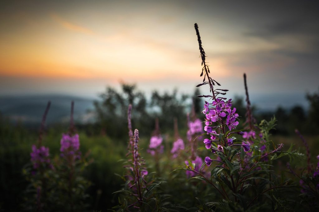 24_2_dg_dn_c021_Impression_BTS-photo_gall_06