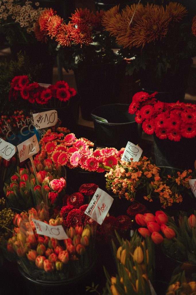 24_70_28_dgdn_ii_a024_impression_image_elliot_aubin_05