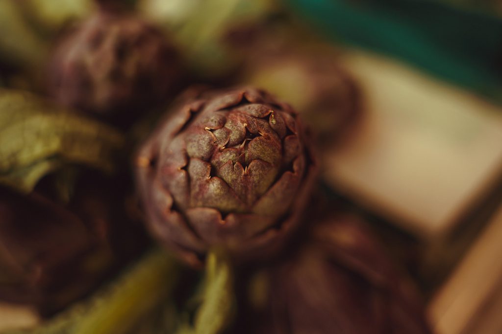 24_70_28_dgdn_ii_a024_impression_image_elliot_aubin_08