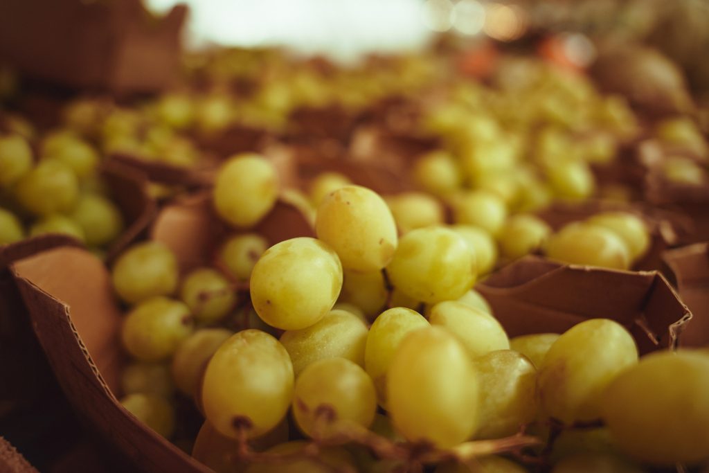 24_70_28_dgdn_ii_a024_impression_image_elliot_aubin_09