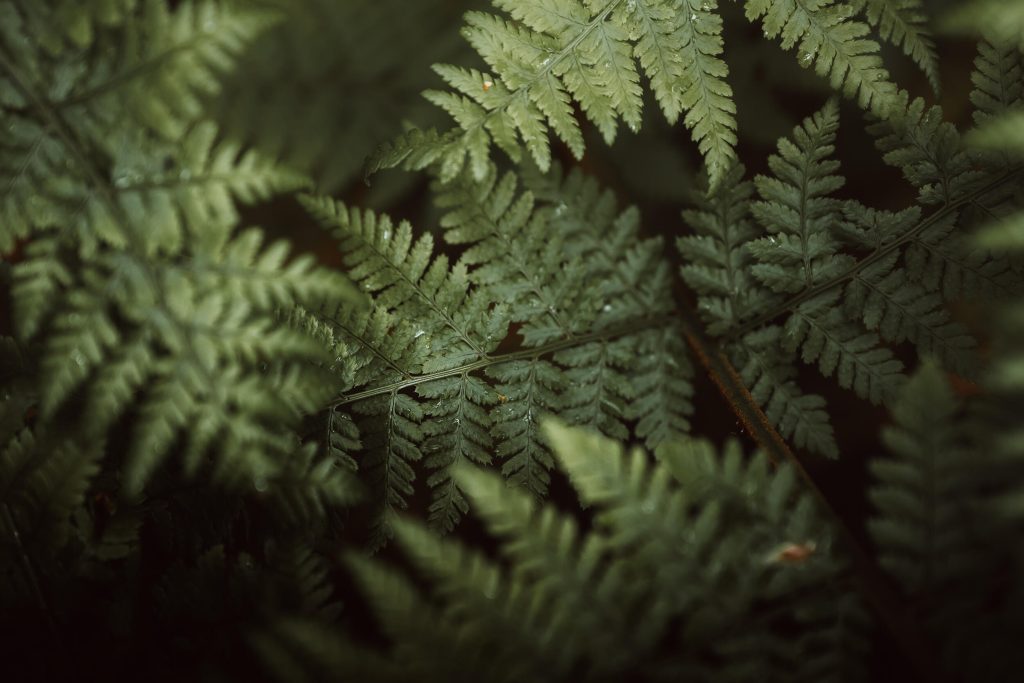 28_45_18_dgdn_a024_impression_image_jack_redgate_1