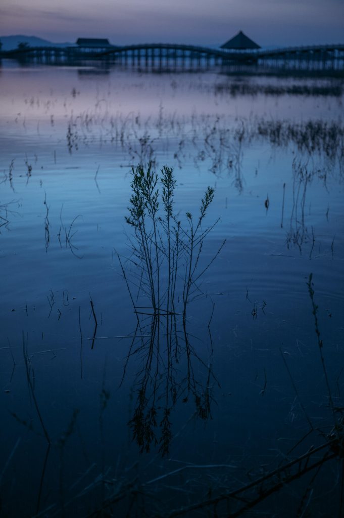 28_45_18_dgdn_a024_yf_20240515_SIGMA_TSUGARU-13 (18)