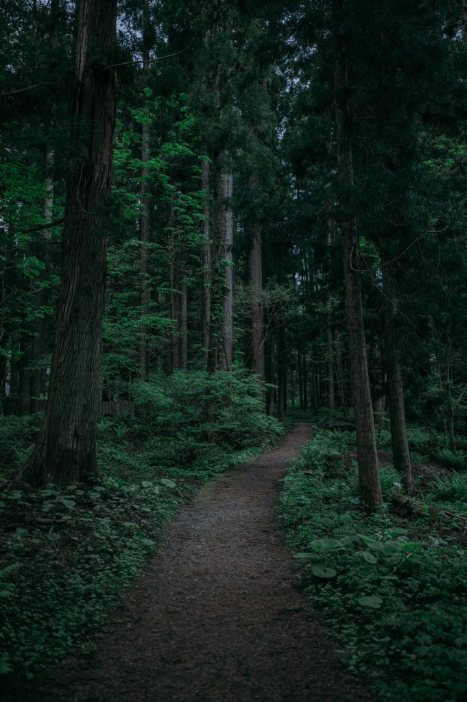 28_45_18_dgdn_a024_yf_20240515_SIGMA_TSUGARU-13 (7)