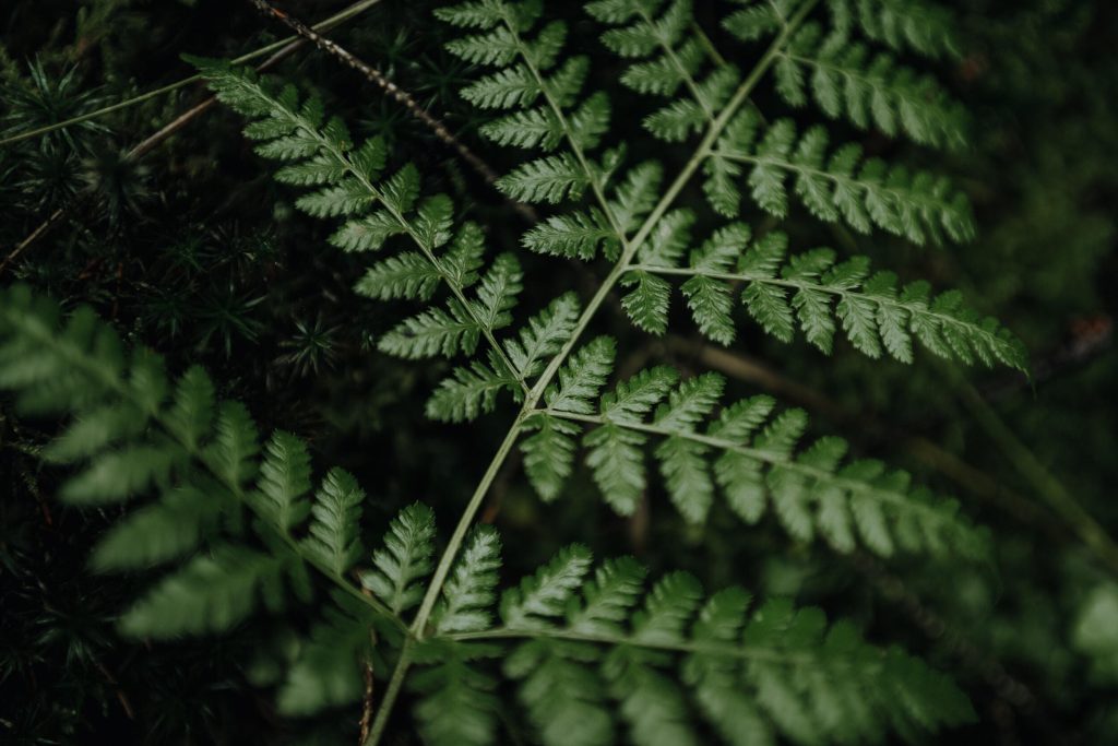 50_14_dgdn_a023_Impression_Photo_Maike-Wittreck_22