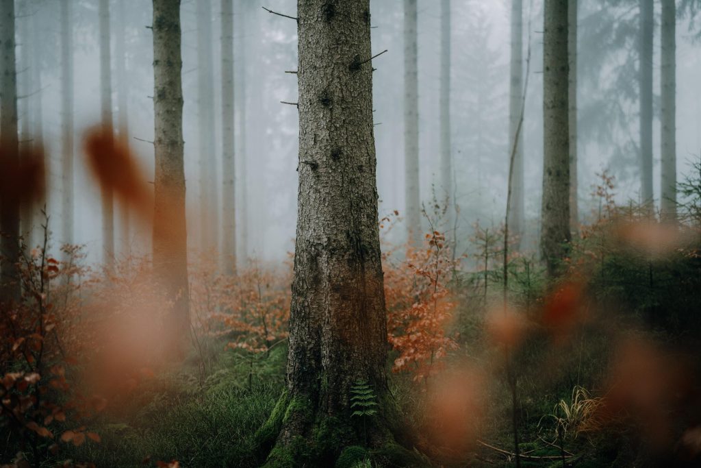 50_14_dgdn_a023_Impression_Photo_Maike-Wittreck_51