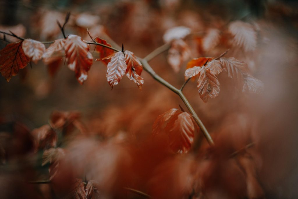 50_14_dgdn_a023_Impression_Photo_Maike-Wittreck_57