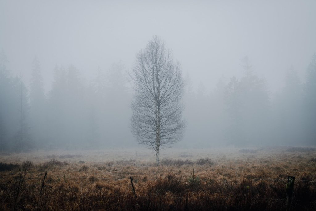 50_14_dgdn_a023_Impression_Photo_Maike-Wittreck_59