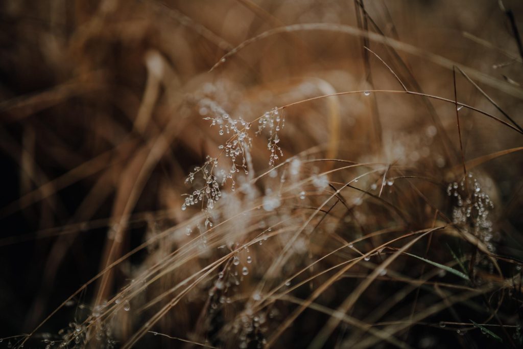 50_14_dgdn_a023_Impression_Photo_Maike-Wittreck_60