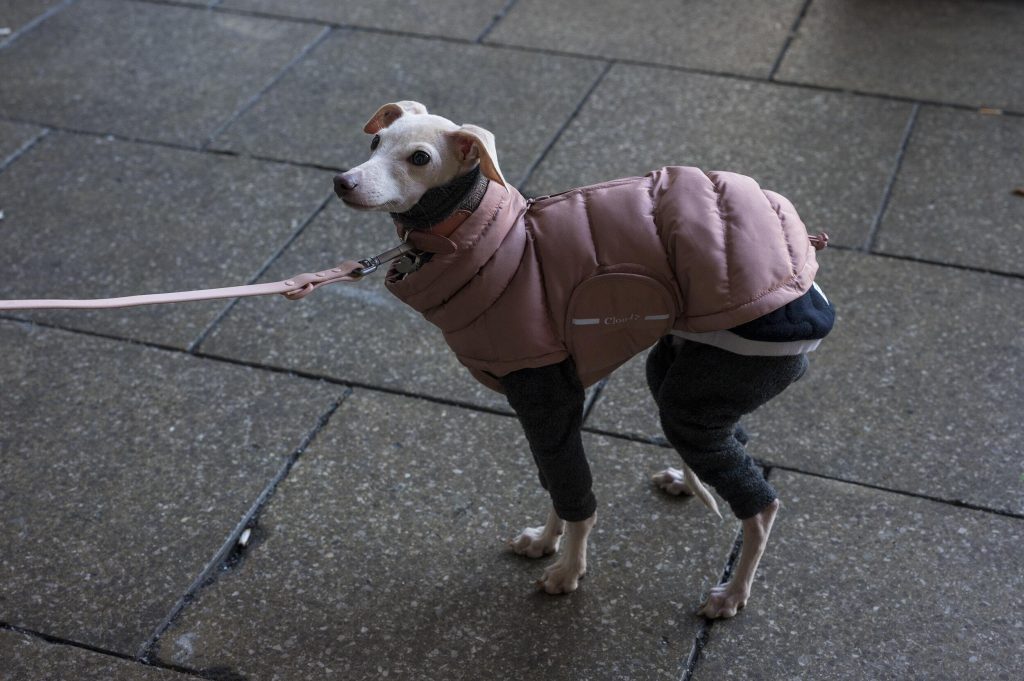 50_14_dgdn_a023_Impression_Photo_Stewart-Weir_12