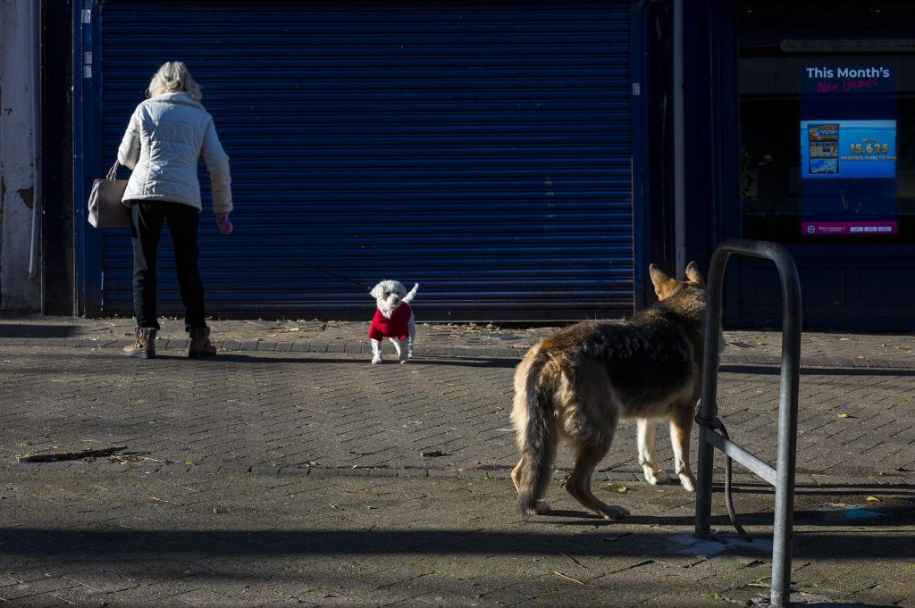 50_14_dgdn_a023_Impression_Photo_Stewart-Weir_15