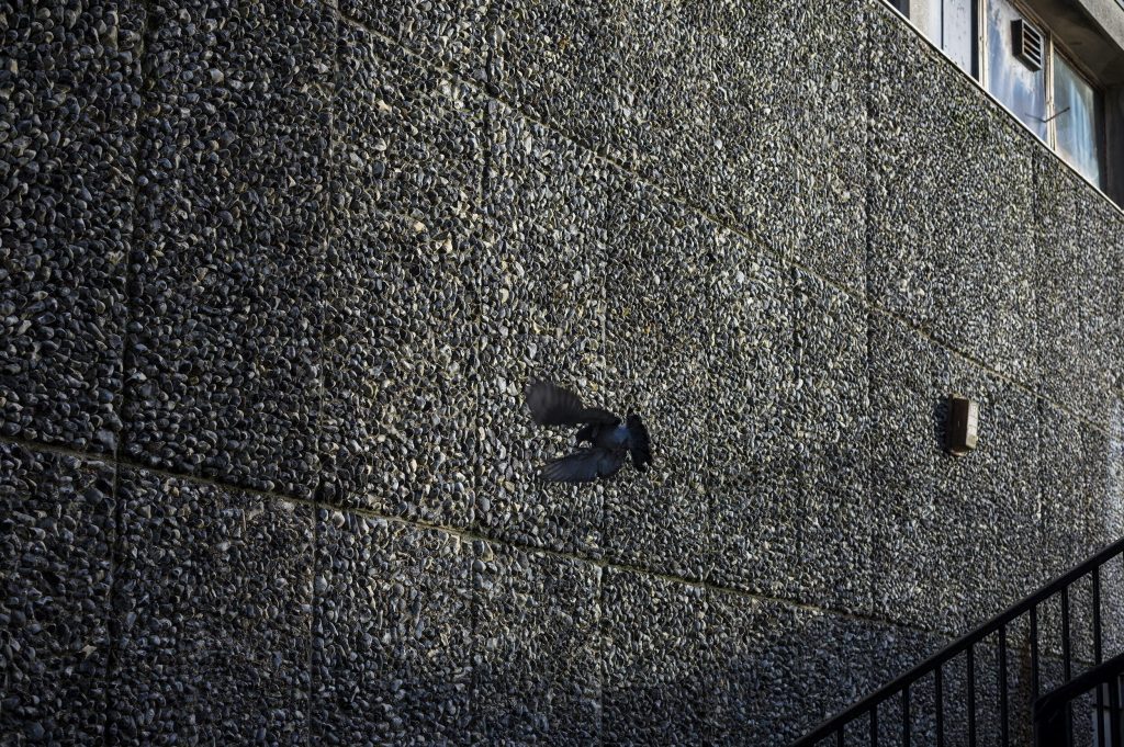 50_14_dgdn_a023_Impression_Photo_Stewart-Weir_21