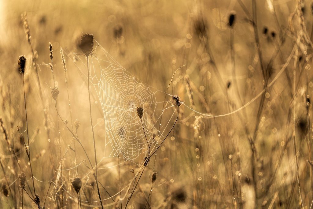 60_600_45_63_dgdnos_s023_Impression_Photo_Andrew-James_01