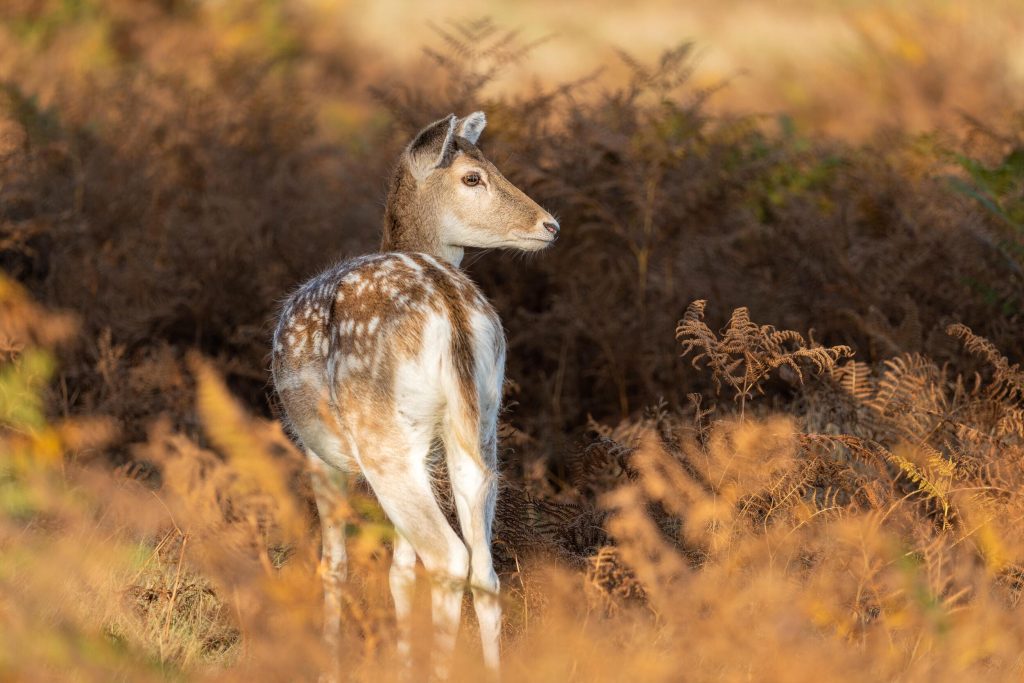 60_600_45_63_dgdnos_s023_Impression_Photo_Andrew-James_09