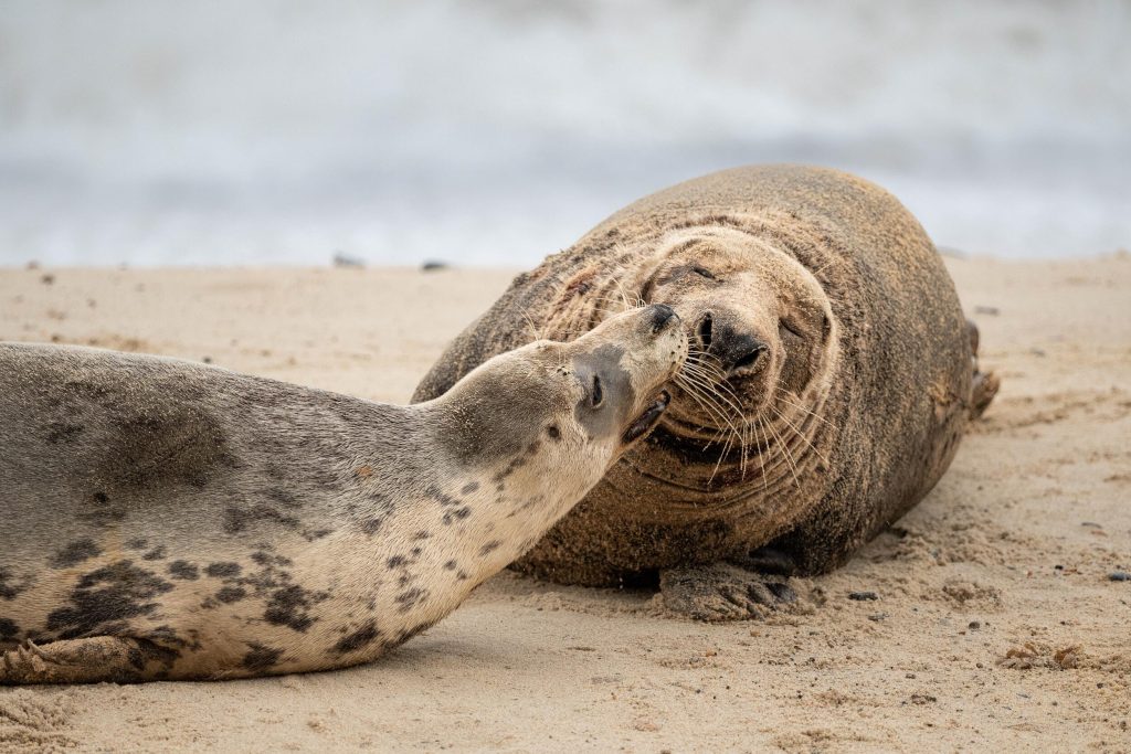 60_600_45_63_dgdnos_s023_Impression_Photo_Andrew-James_37