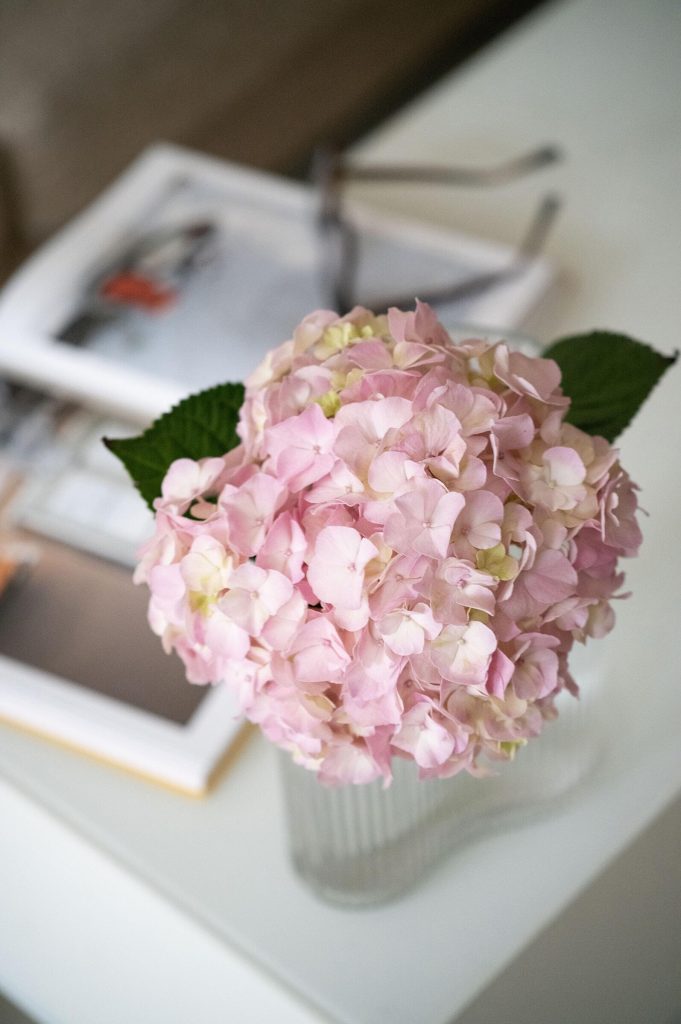 90_28_dg_dn_c021_Impression_photo_Wen-Jing_gall_02