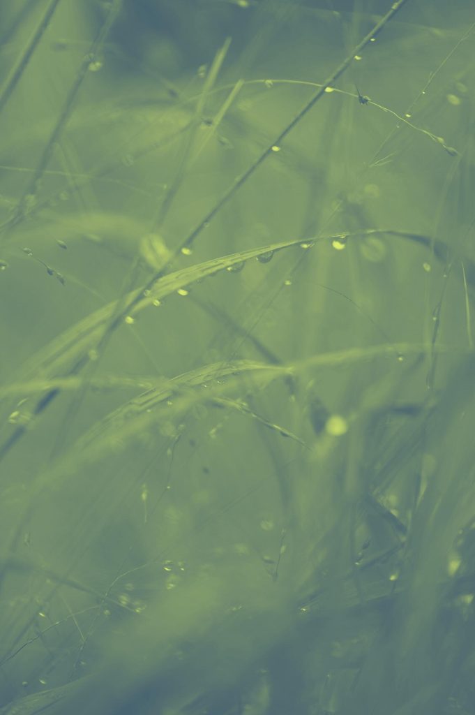 90_28_dg_dn_c021_Impression_photo_Wen-Jing_gall_05