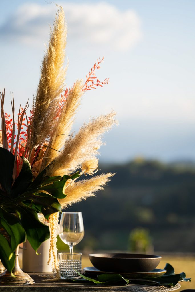 a20105_spimp_3_main_23-scaled