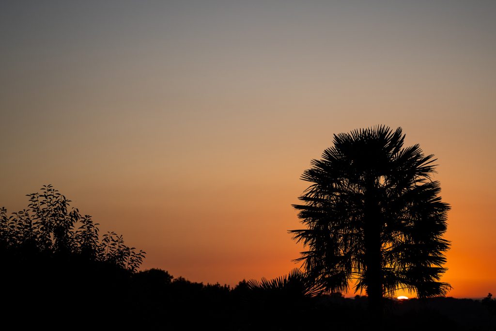 a20105_spimp_3_main_48