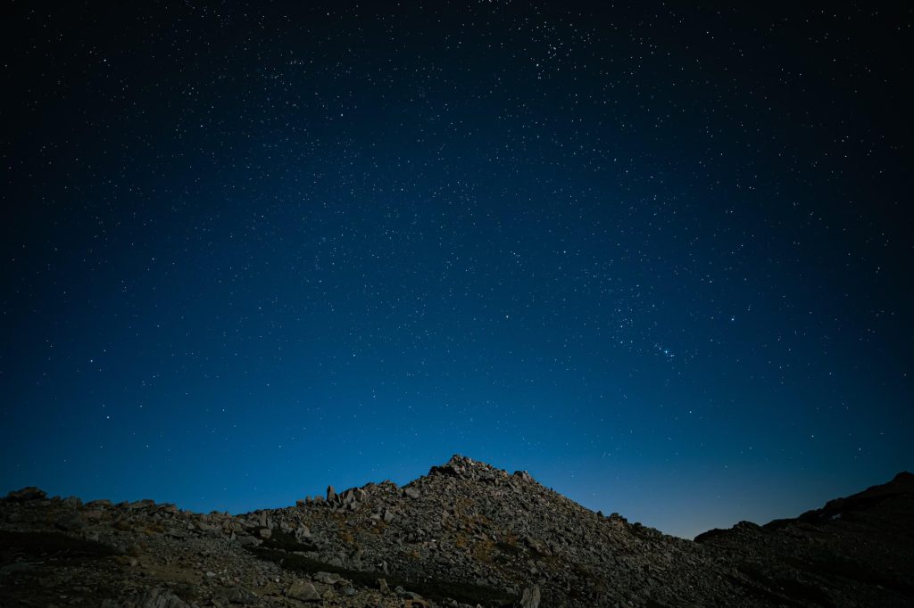 c24_spimp_01_main_22