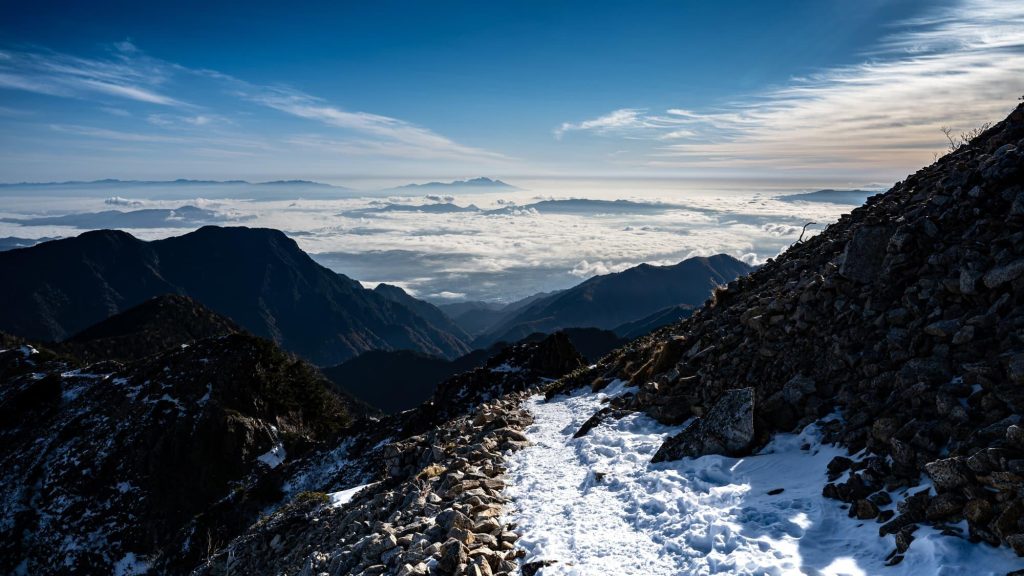 c24_spimp_01_main_24