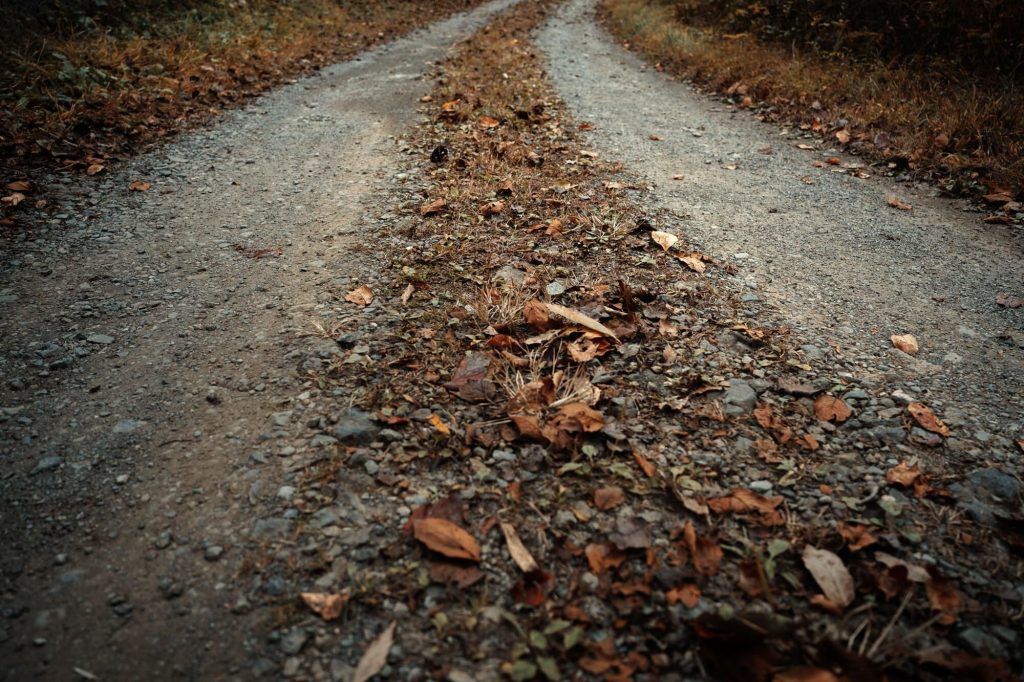 c24_spimp_02_main_12