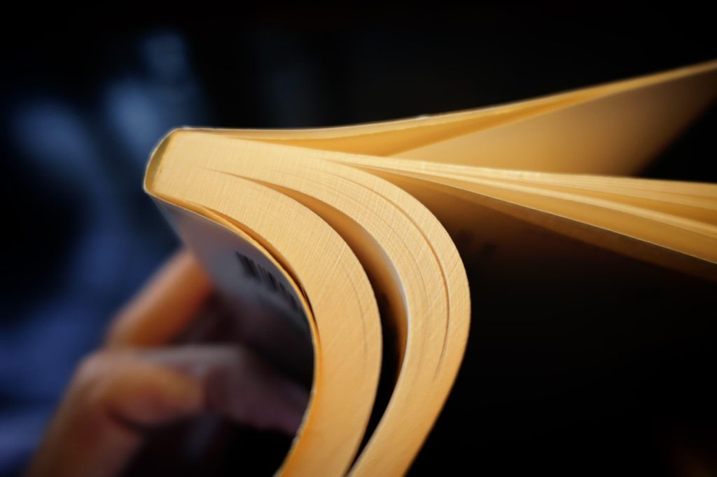 c24_spimp_02_main_14