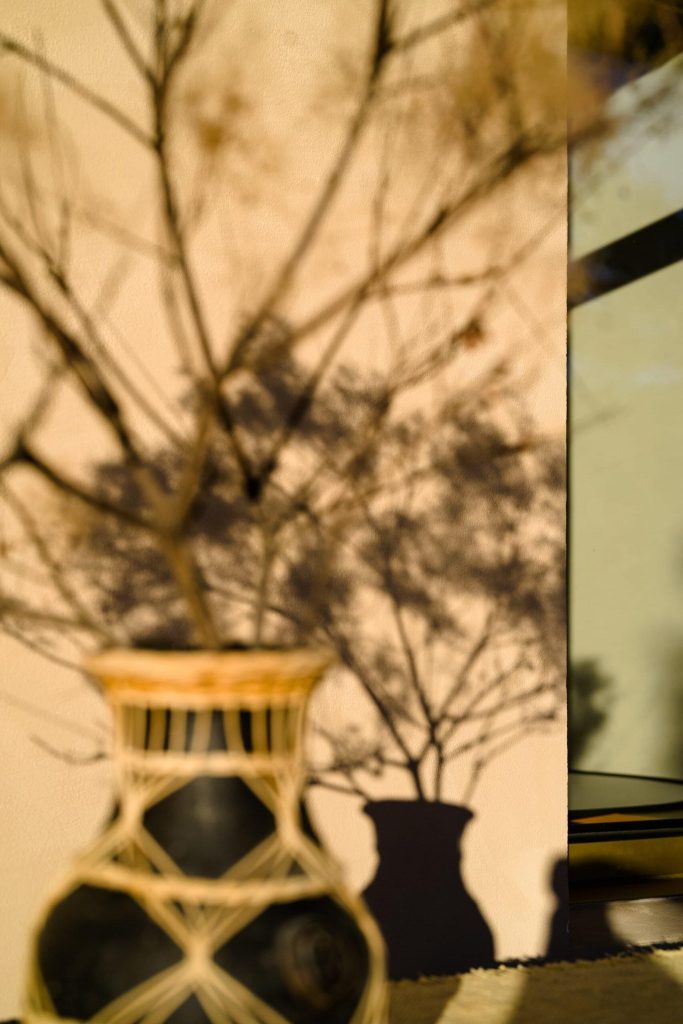 c65_spimp_01_main_25-scaled_1