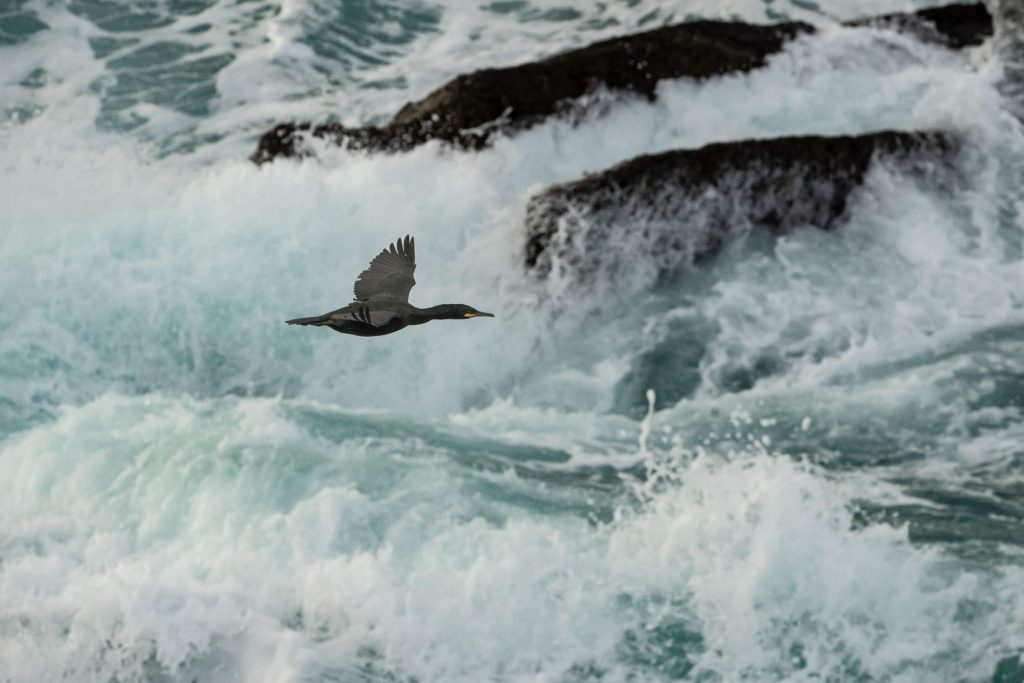 guillaume_bily_impression_img_01