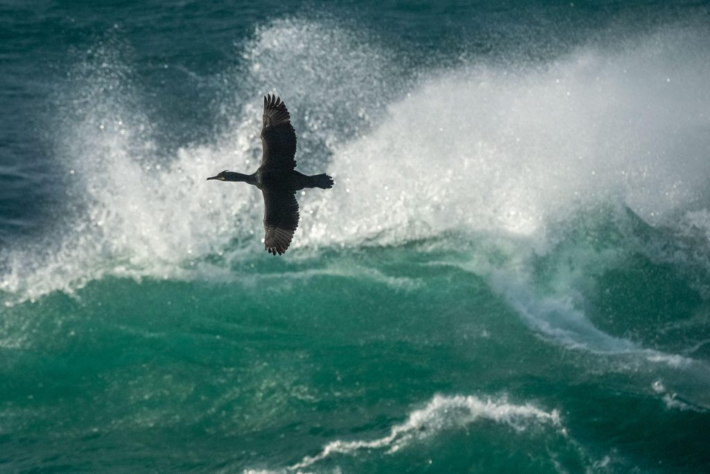 guillaume_bily_impression_img_02