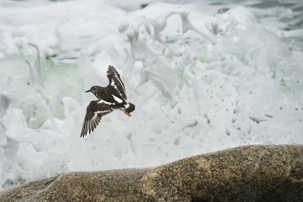 guillaume_bily_impression_img_03