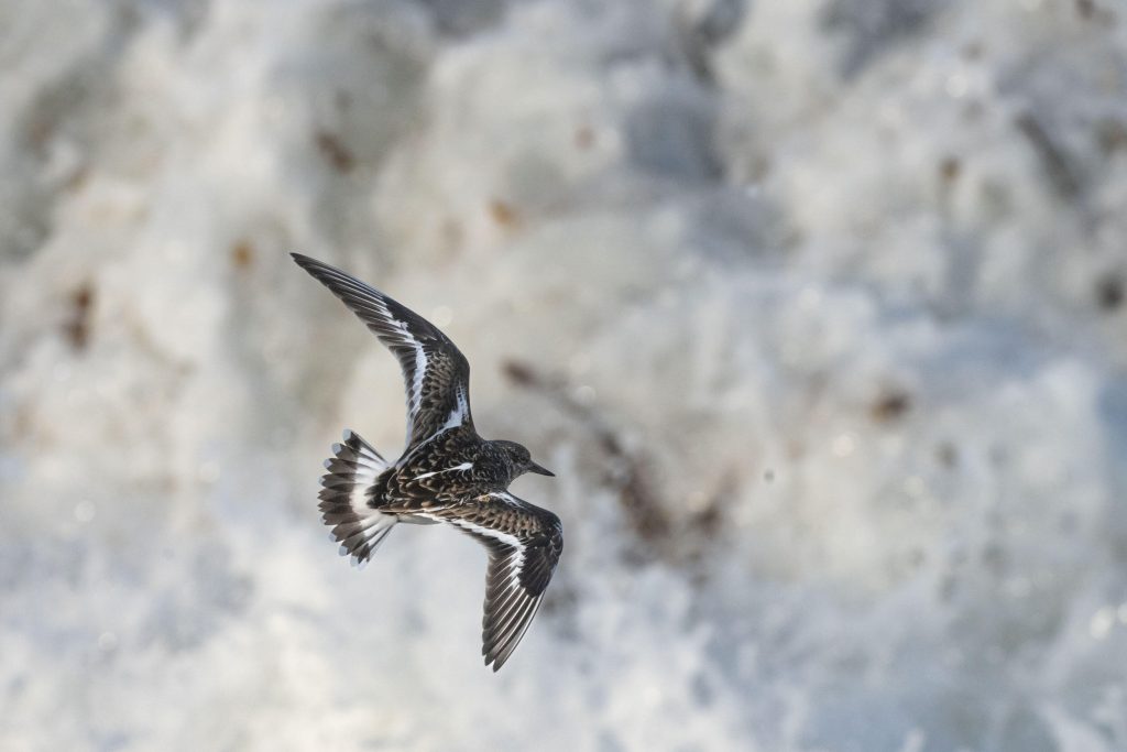 guillaume_bily_impression_img_04