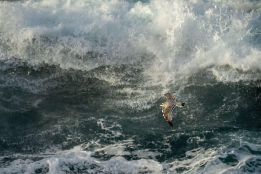 guillaume_bily_impression_img_05