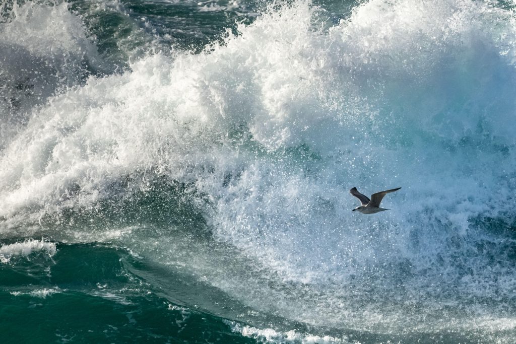 guillaume_bily_impression_img_06